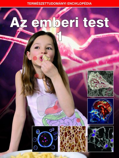 több szerző - Az emberi test 1. – Természettudományi enciklopédia