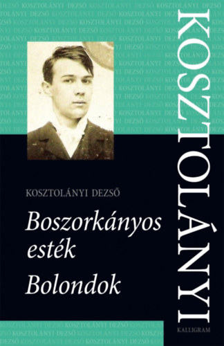 Kosztolányi  Dezső - Boszorkányos esték