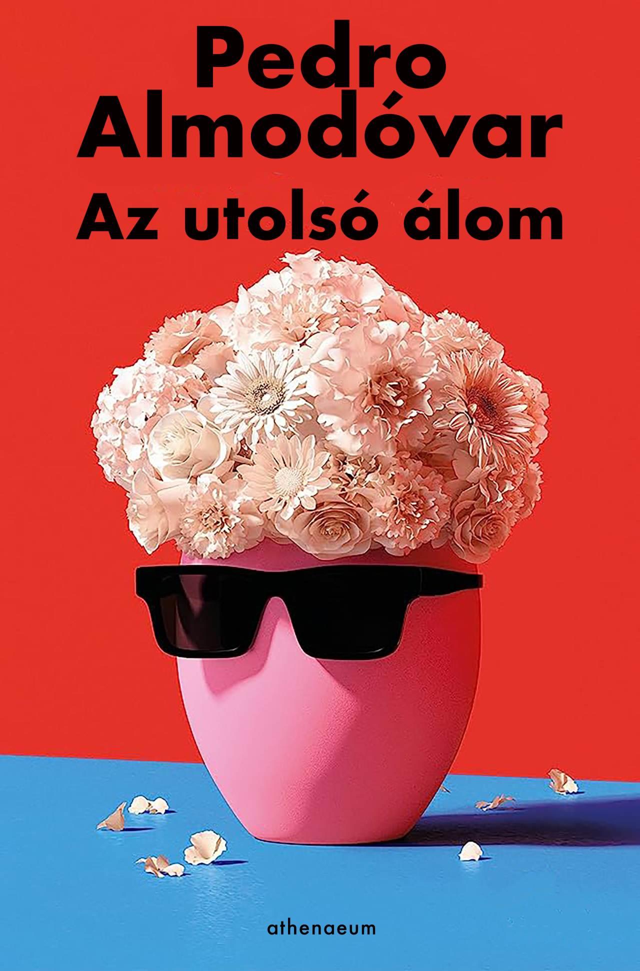 Almodóvár Pedro: Az utolsó álom