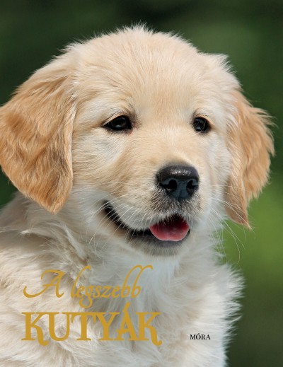 Nicola Jane Swinney: A legszebb kutyák