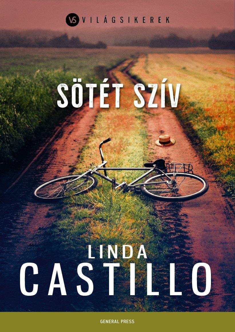Castillo, Linda: Sötét szív