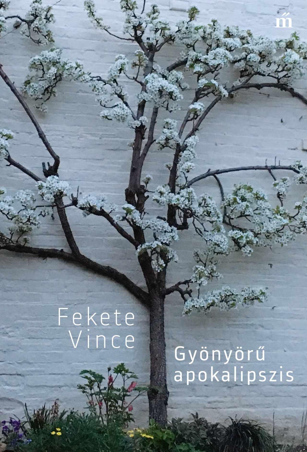 Fekete Vince: Gyönyörű apokalipszis