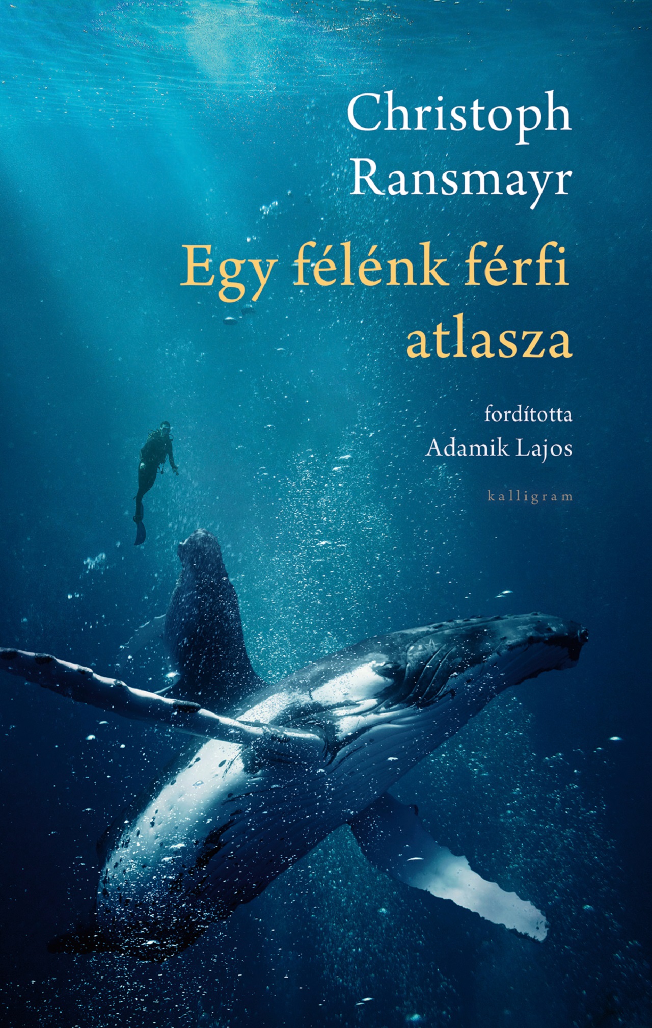 Ransmayr, Christoph: Egy félénk férfi atlasza