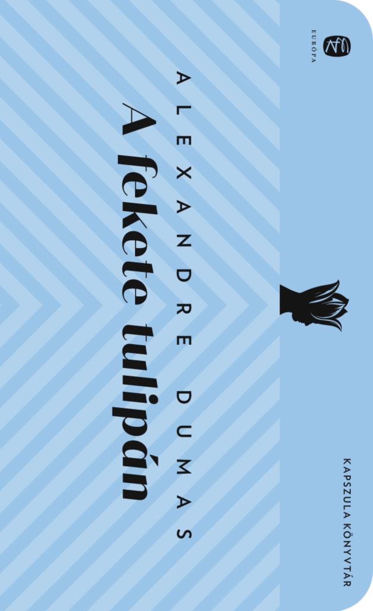 Dumas, Alexandre: A fekete tulipán