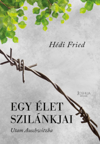 Hédi Fried: Egy élet szilánkjai – Utam Auschwitzba