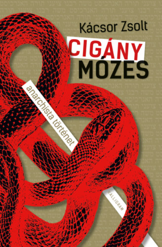 Kácsor Zsolt: Cigány Mózes