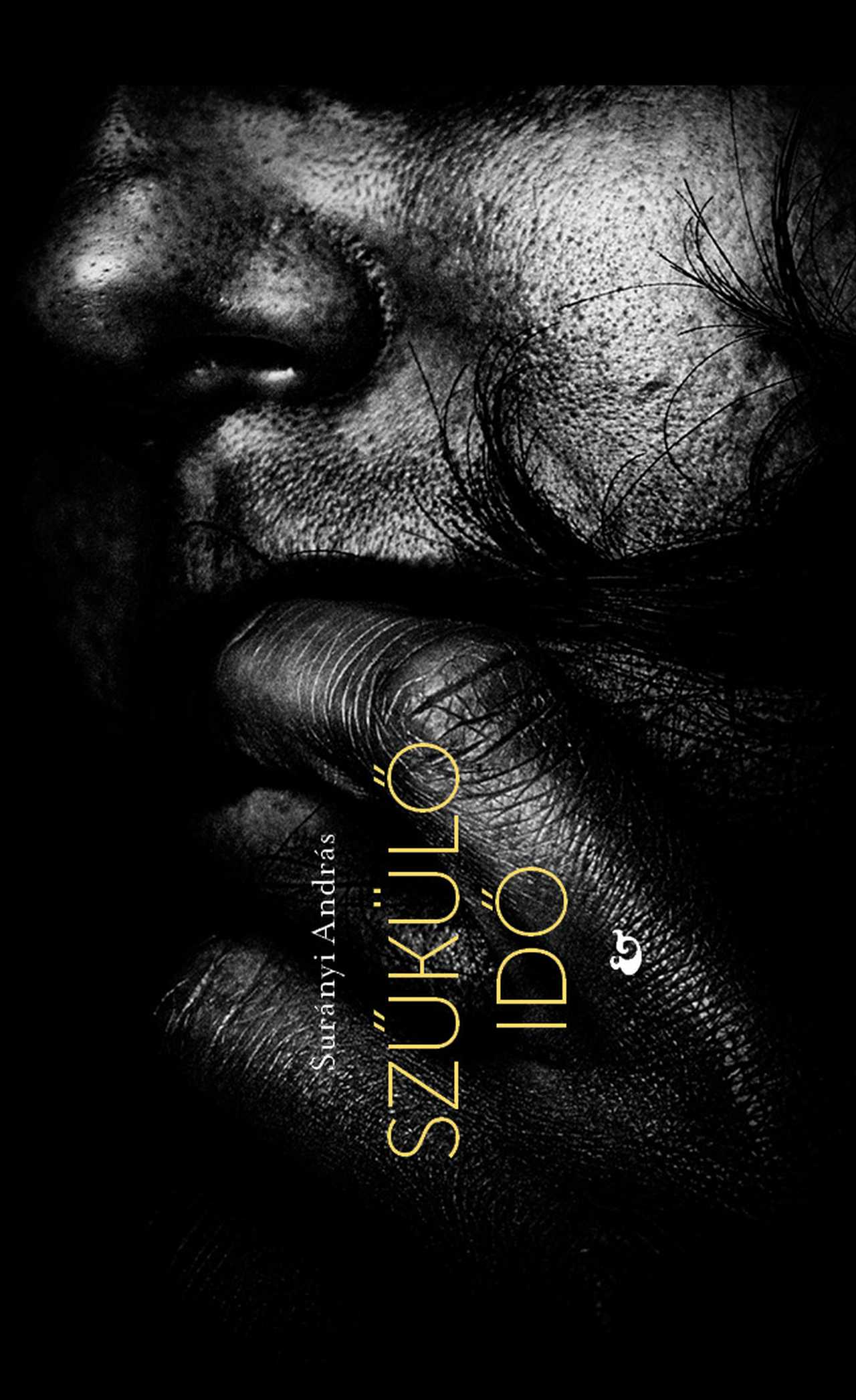 Surányi András: Szűkülő idő