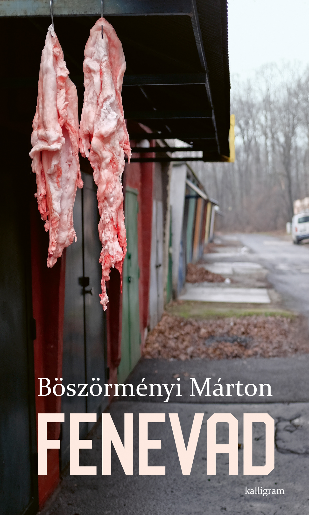 Böszörményi Márton: Fenevad