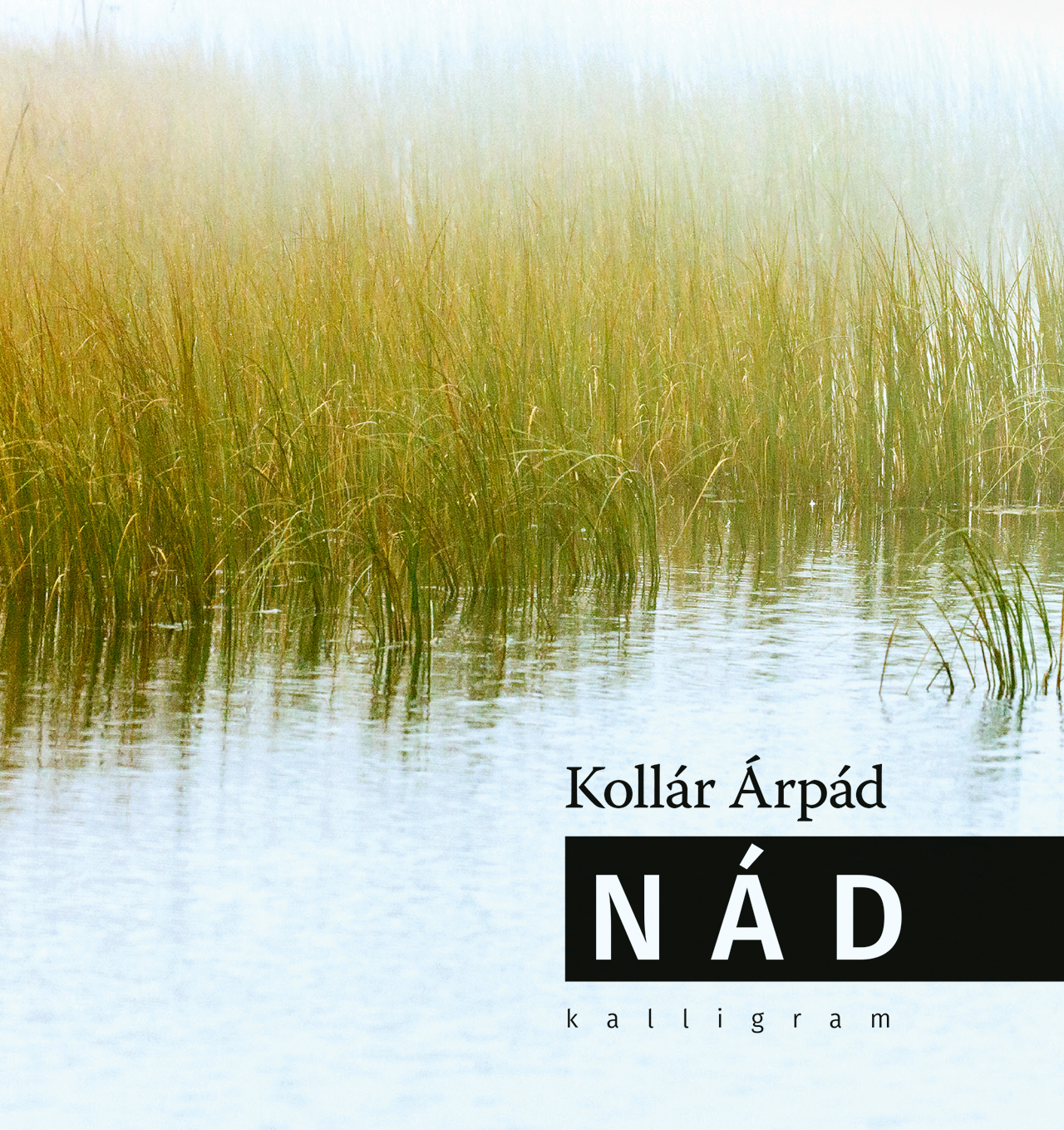 KOllár Árpád: Nád