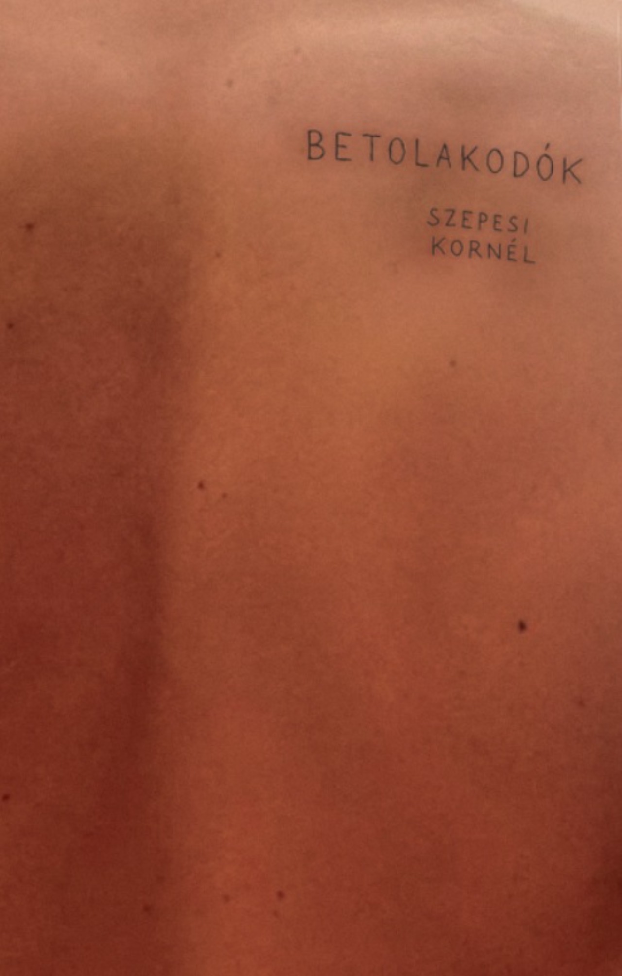 Szepesi Kornél: Betolakodók