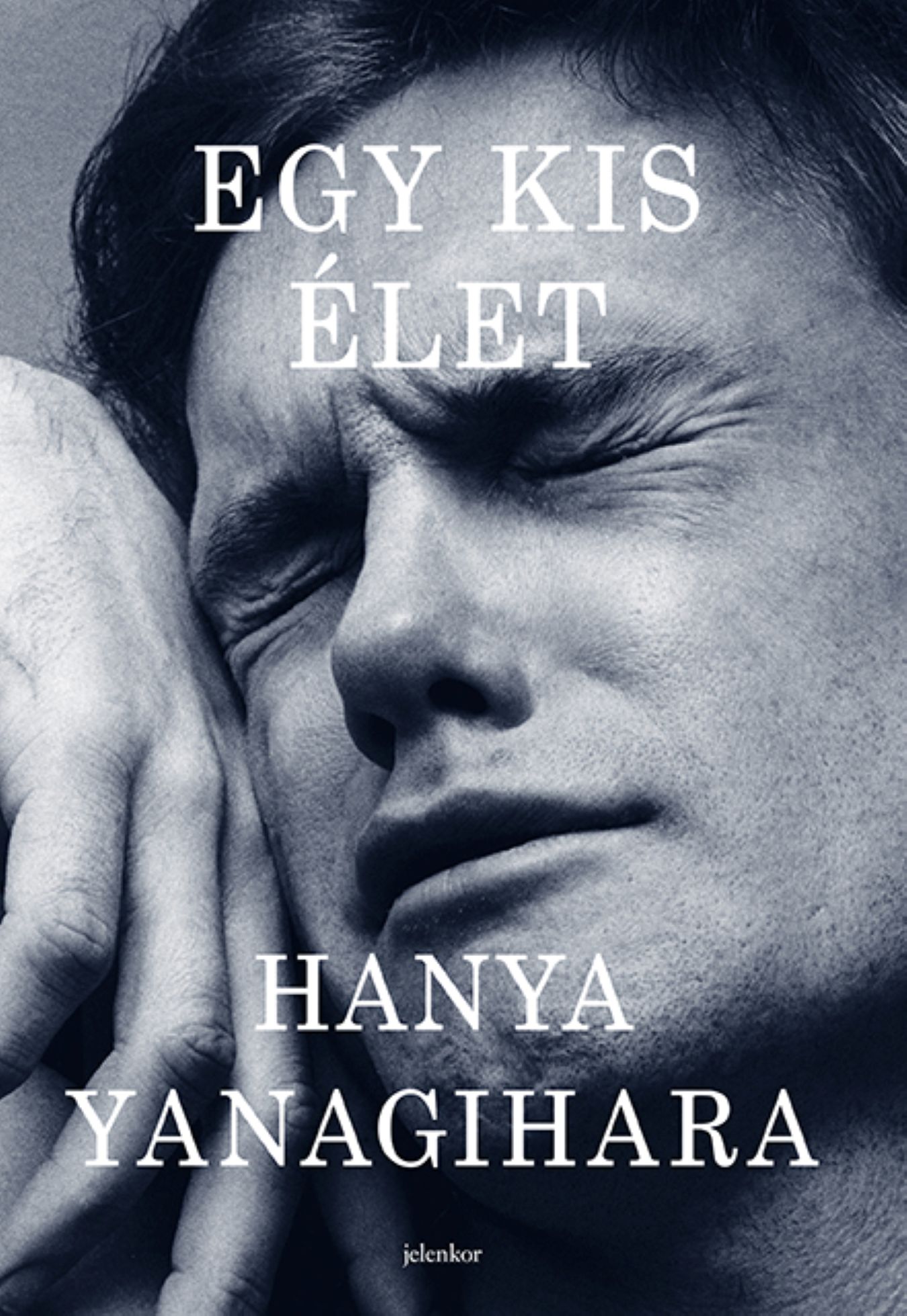 Yanagihara, Hanya: Egy kis élet