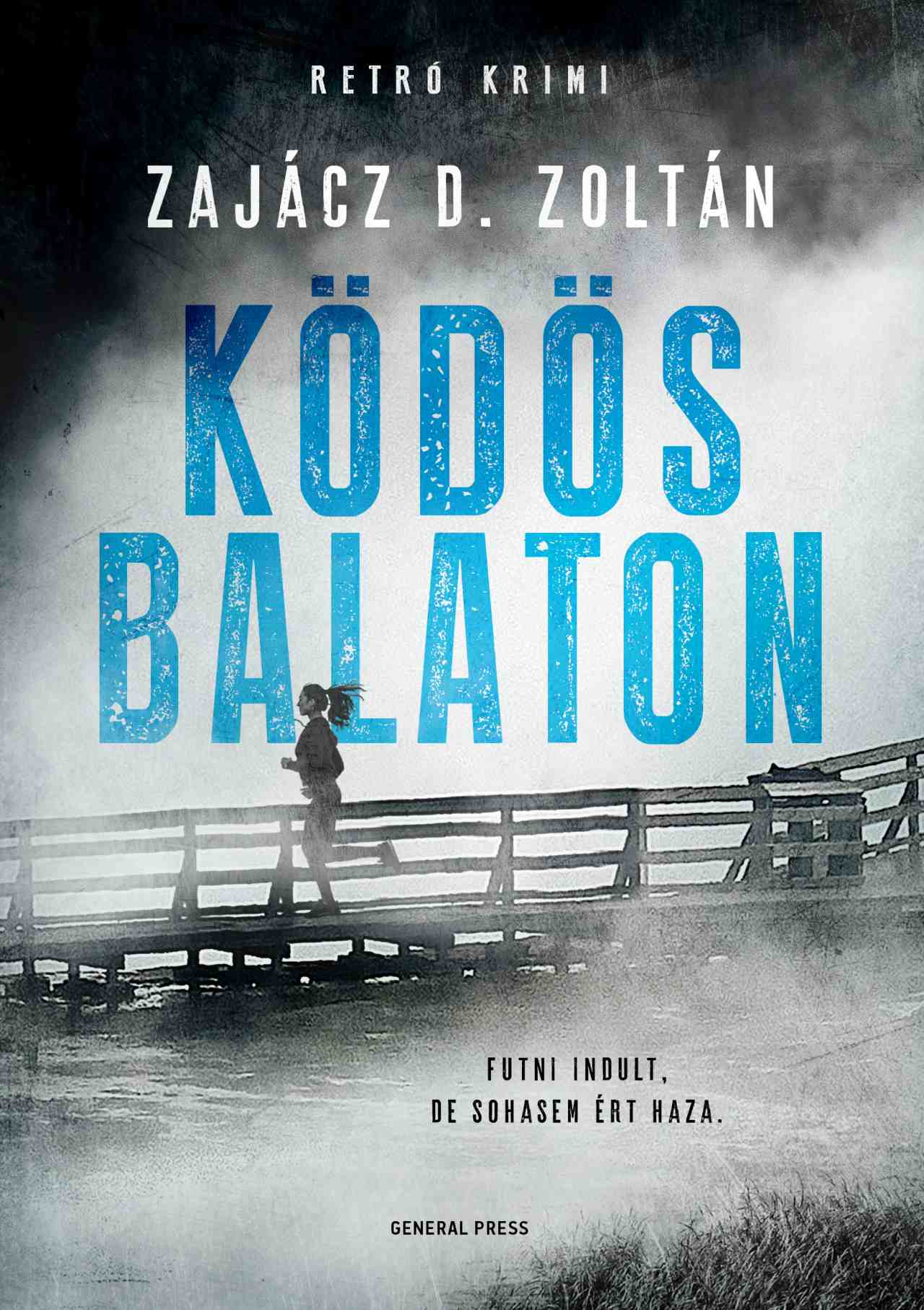 Zajácz D. Zoltán: Ködös Balaton